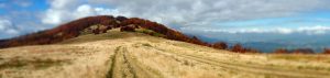 Ley lines